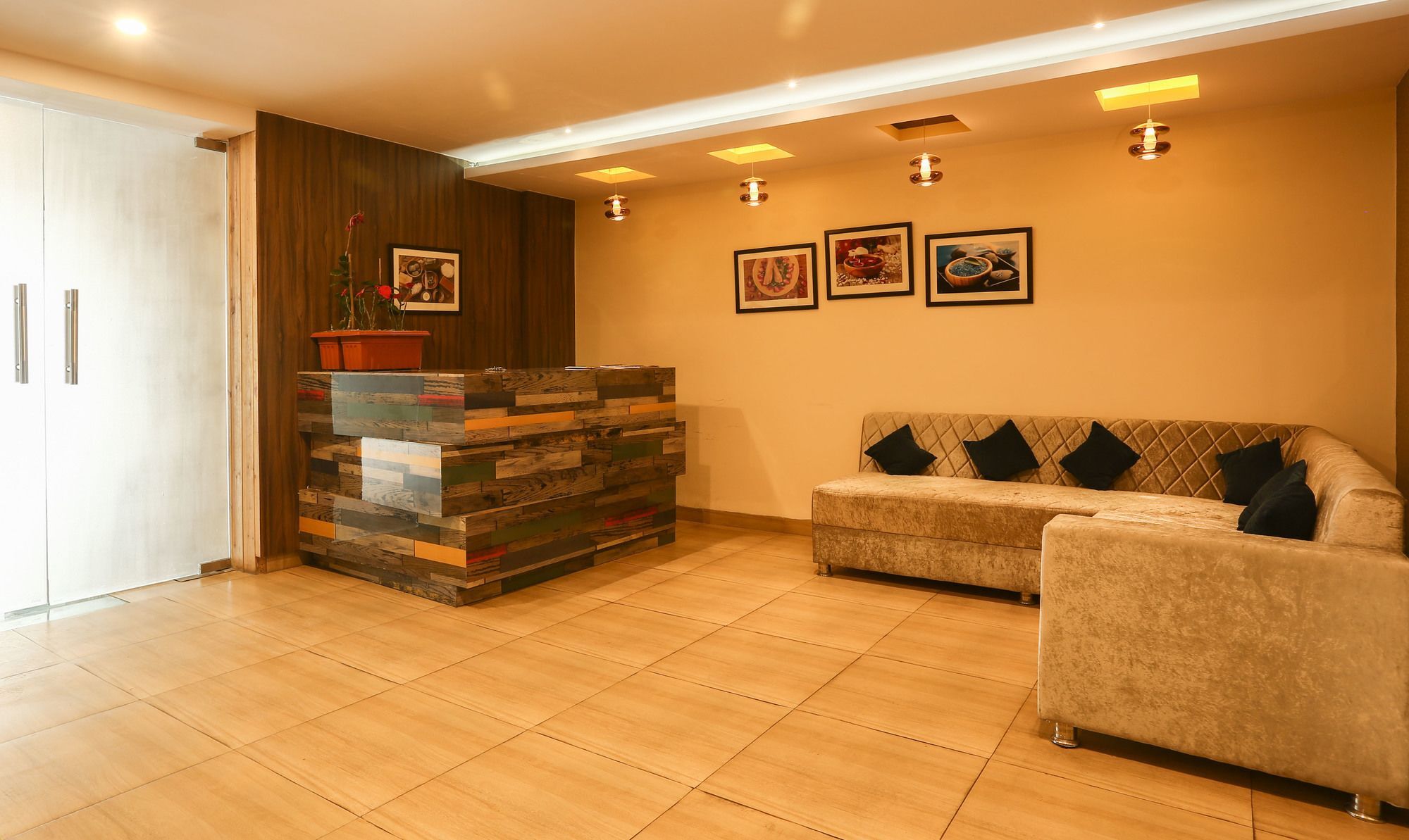 Hotel Treebo Trend Gk Conifer Dharamsala Zewnętrze zdjęcie